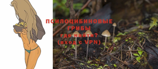 амф Нея