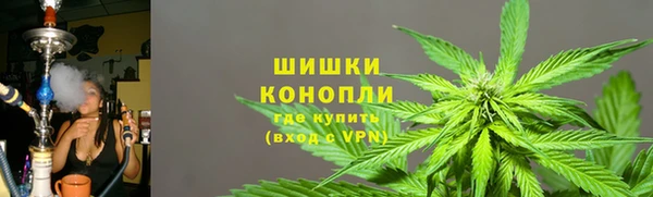 PSILOCYBIN Нефтегорск