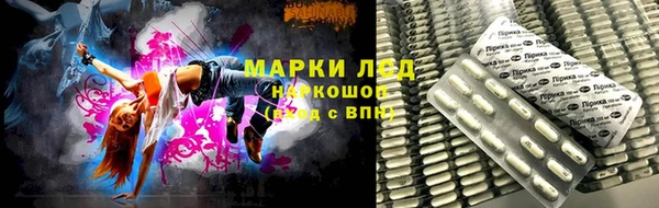PSILOCYBIN Нефтегорск