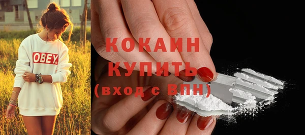 индика Новодвинск