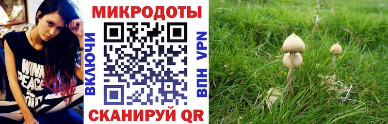 Псилоцибиновые грибы мухоморы где купить наркоту mega онион Кущёвская