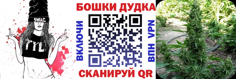 цена наркотик  Кущёвская  hydra сайт  Марихуана Amnesia 